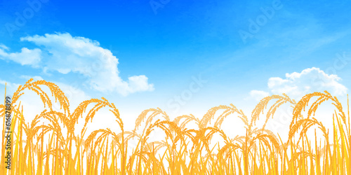 米　稲　秋　風景　背景