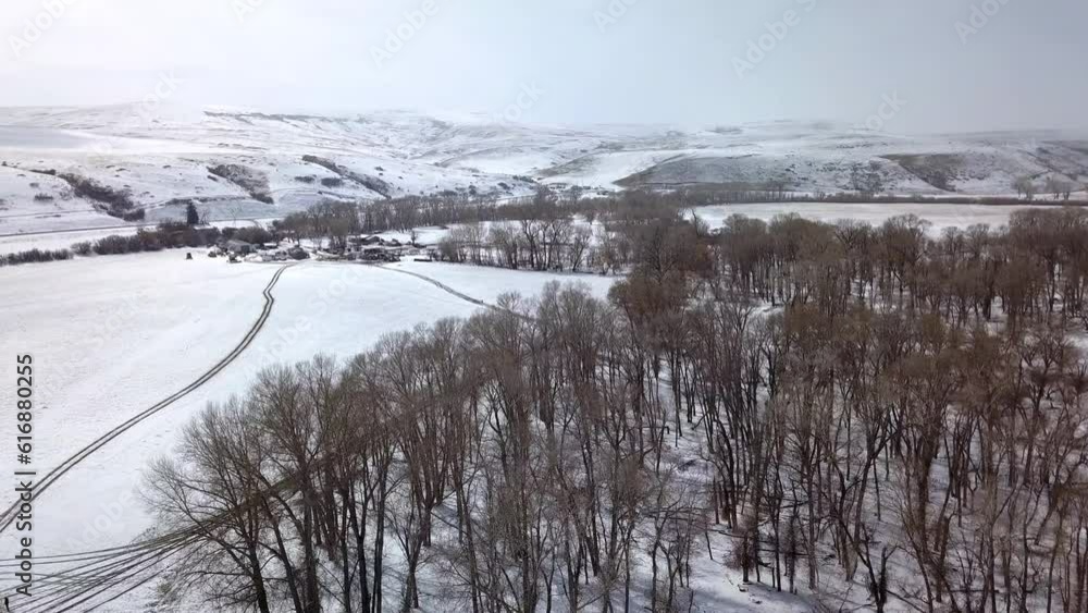 Aerial Shot Of Bare Trees Near Houses And Mountains Against Sky, Drone Flying Over Snow Landscape - Billings, Montana Aerial Shot Of Bare Trees Near Houses And Mountains Against Sky, Drone Flying Over Snow Landscape - Billings, Montana