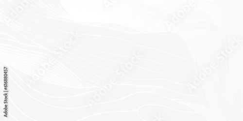 White wave paper curved reliefs abstract background, Abstract topographic contours map, Topographic background and texture, monochrome. White wave paper curved reliefs abstract background.