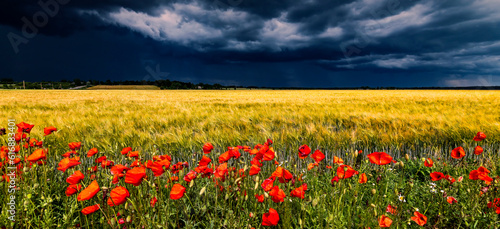 Panoramic view on agricultural or rural landscape with approaching clouds of ...