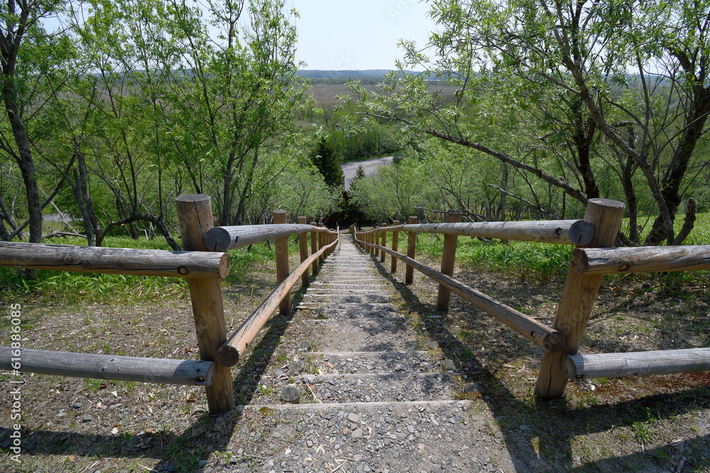 コッタロ湿原展望台の階段（北海道・標茶町）
