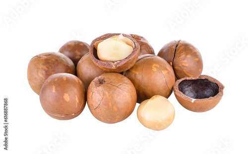 Wallpaper Mural Macadamia nut on transparent png Torontodigital.ca