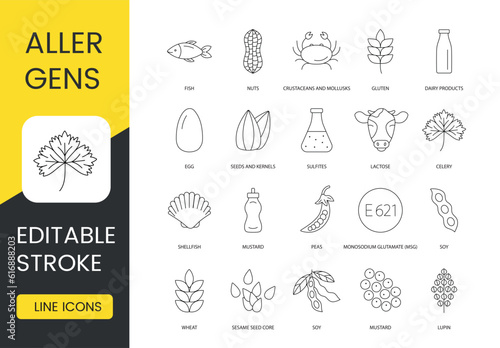Food allergens line icon set in vector, editable stroke, nuts and fish, crustaceans and mollusks, gluten, egg and dairy products, seeds and kernels, sulfites and lactose, shellfish and celery photo