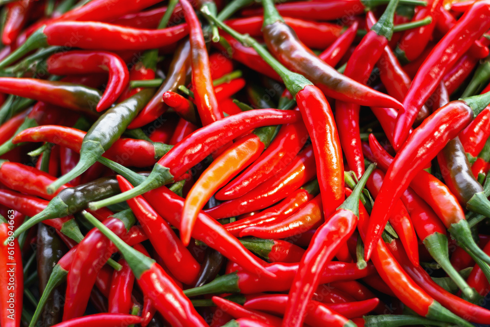 colorful fresh peppers Productivity of gardeners