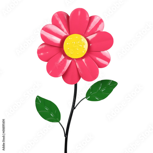 pink daisy isolated on white