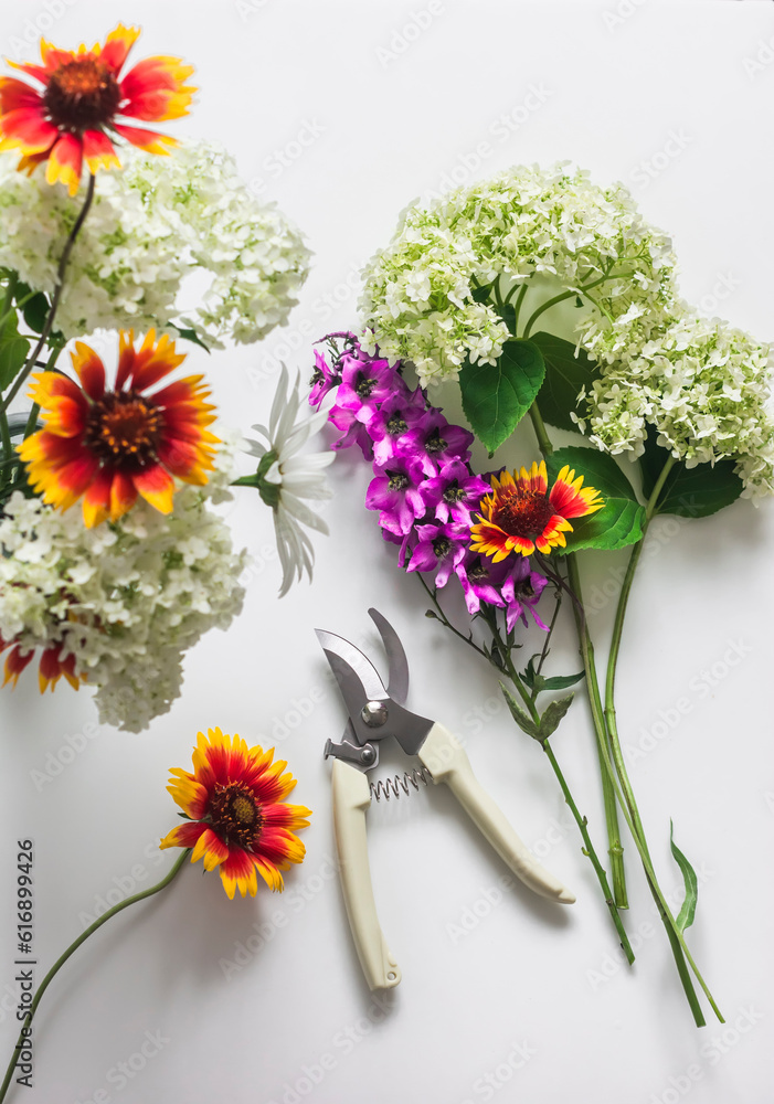 Garden flowers and pruning shears on a white background, top view Garden flowers and pruning shears on a white background, top view