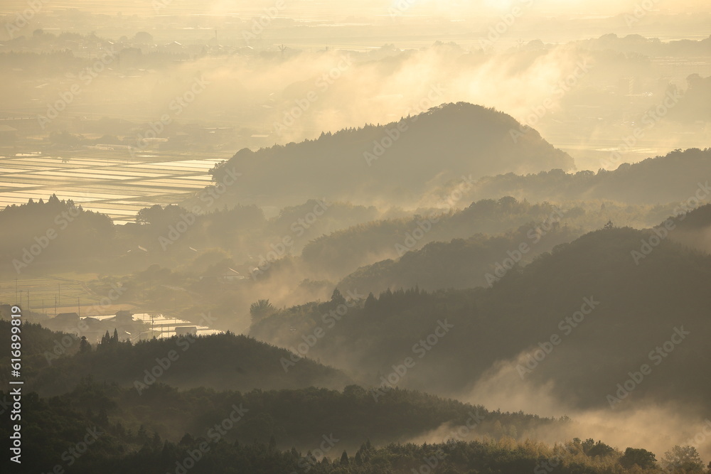 霧が出ている山間の春の水田風景