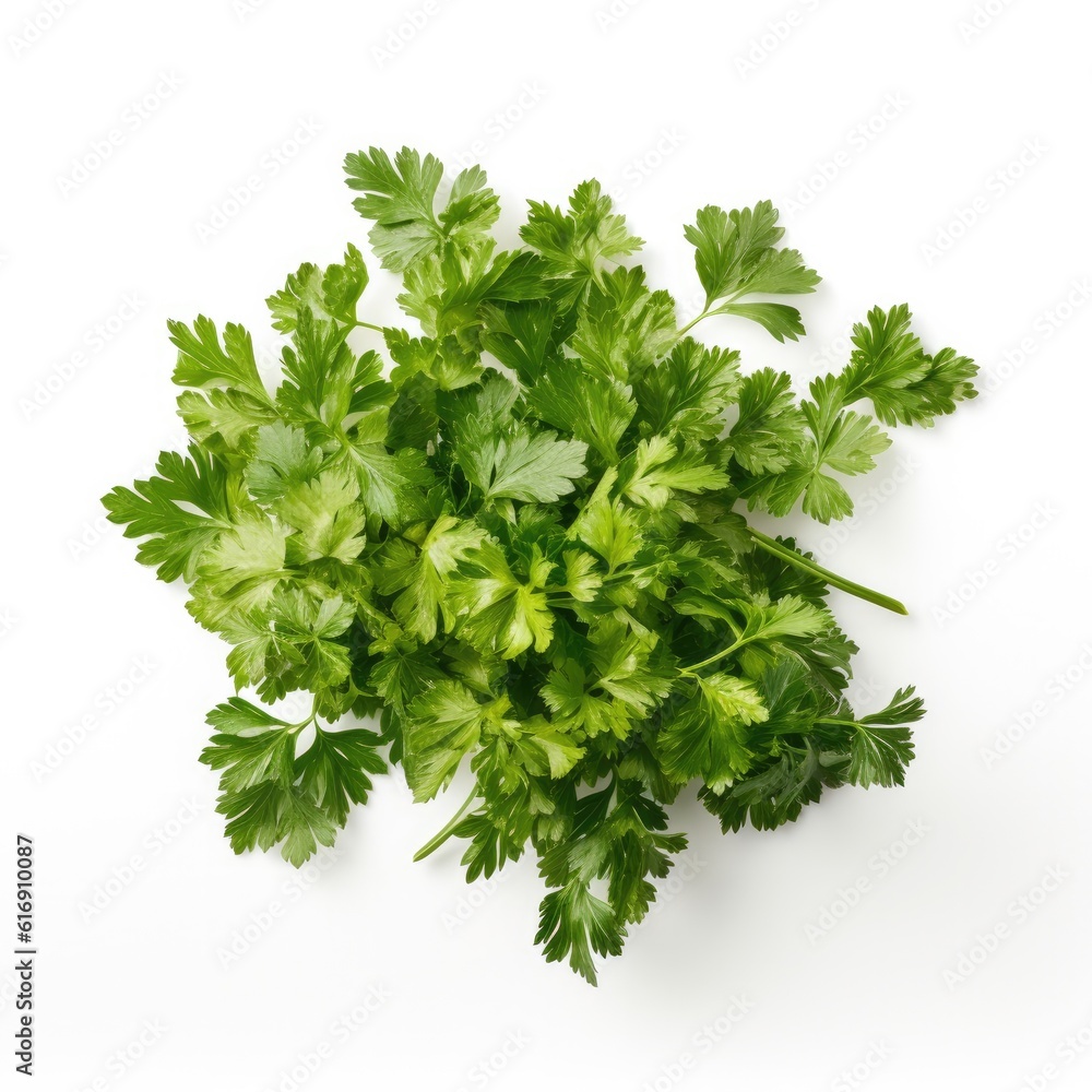 Chervil isolated on white background. Generative AI Chervil isolated on white background. Generative AI
