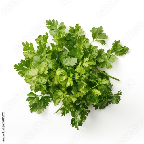Chervil isolated on white background. Generative AI