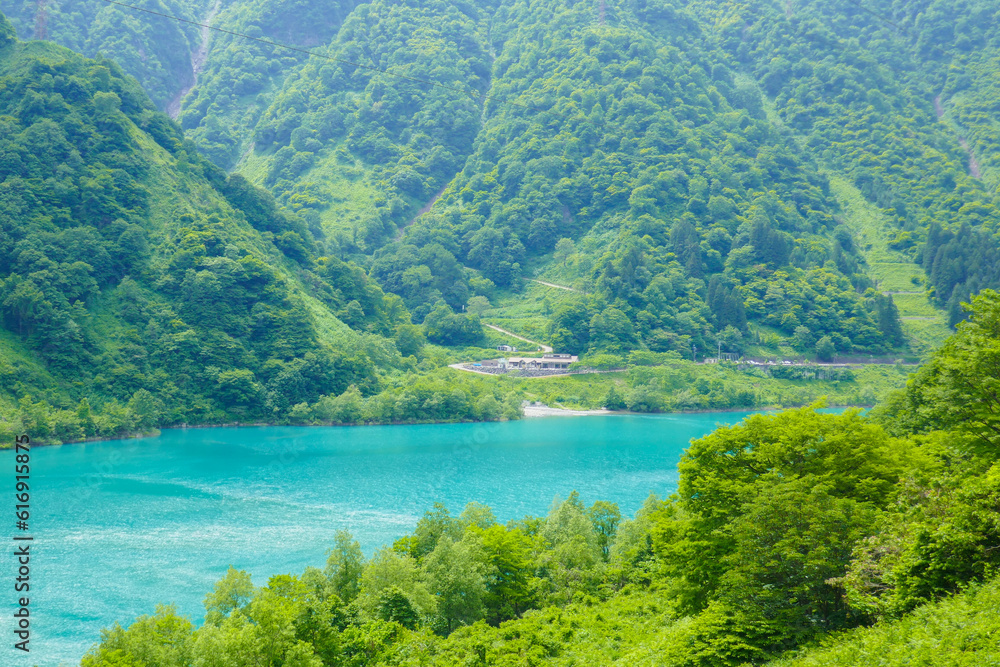 夏のダム湖 夏のダム湖