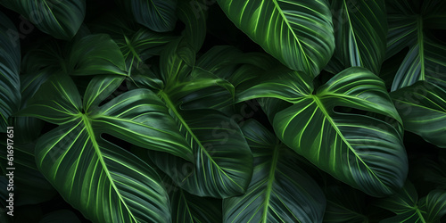 Tropical leaf in the nature  amazon  green life plant texture AI Generated