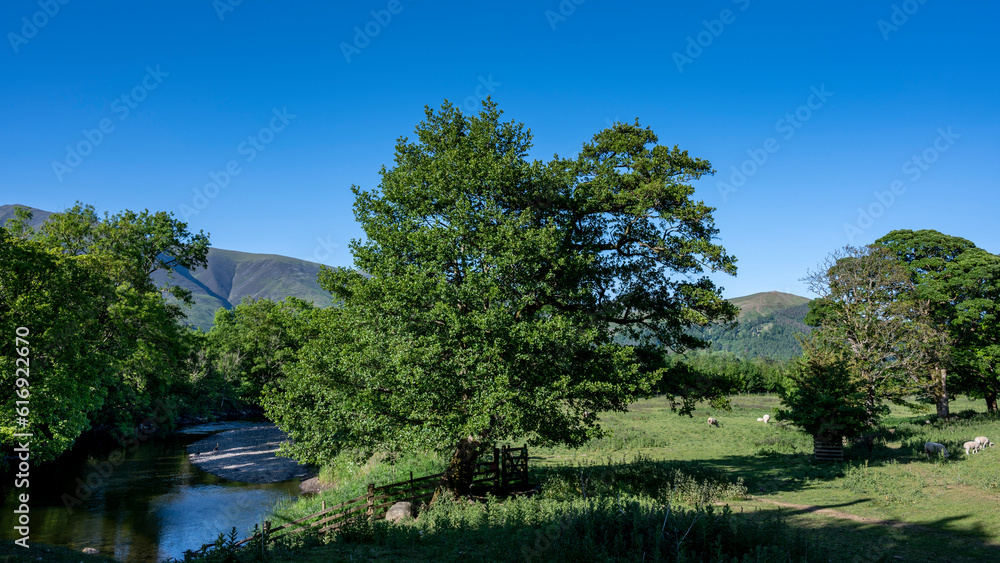 Paysage nature de la rivière Derwent près de Keswick dans la Région des Lacs en Angleterre