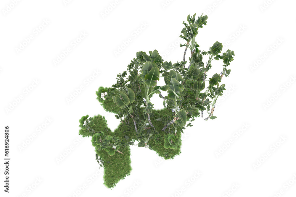 Obraz premium Tropical forest isolated on transparent background. 3d rendering - illustration