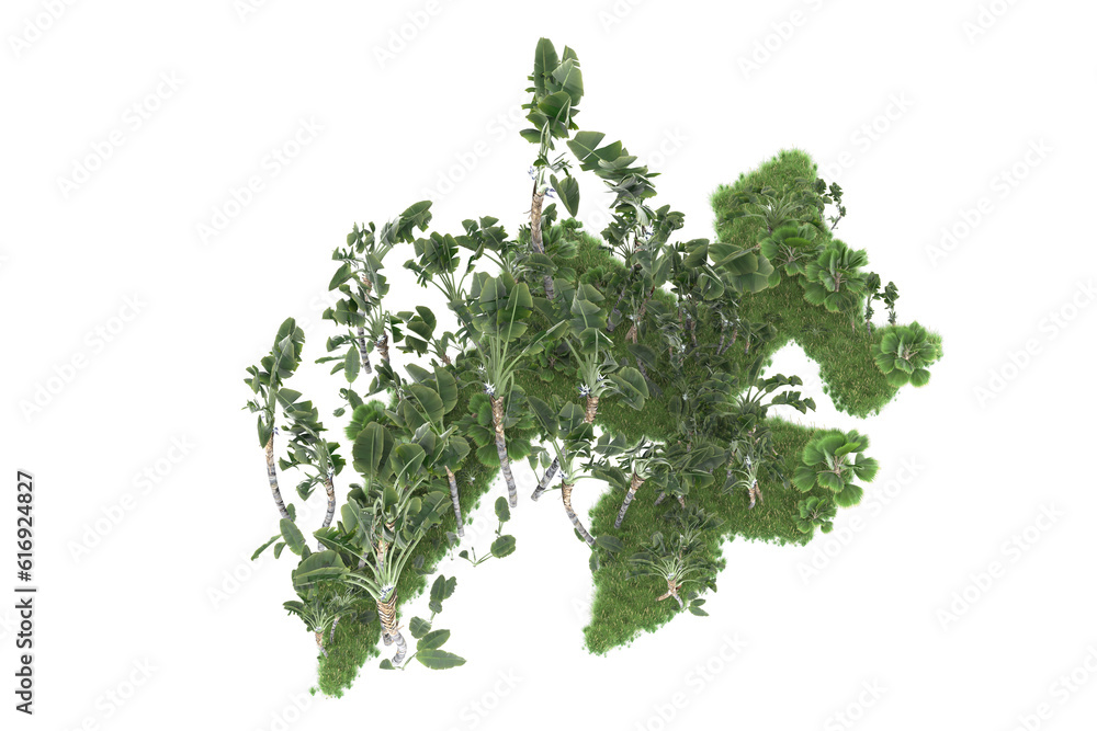 Obraz premium Tropical forest isolated on transparent background. 3d rendering - illustration