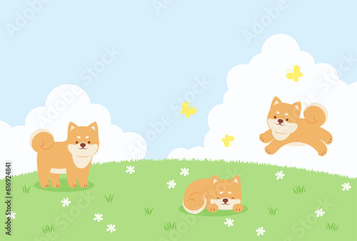 spring vector background with shiba dogs on a green field for banners, cards, flyers, social media wallpapers, etc.