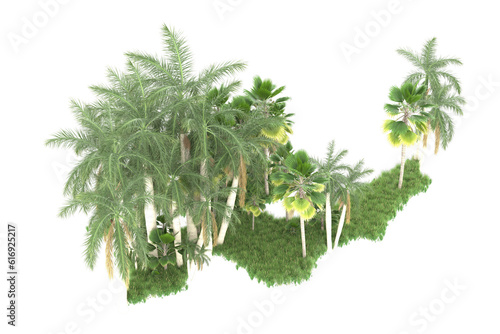 Palm trees isolated on transparent background. 3d rendering - illustration