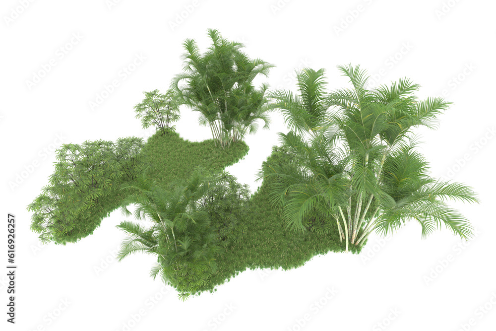 Fototapeta premium Tropical forest isolated on transparent background. 3d rendering - illustration