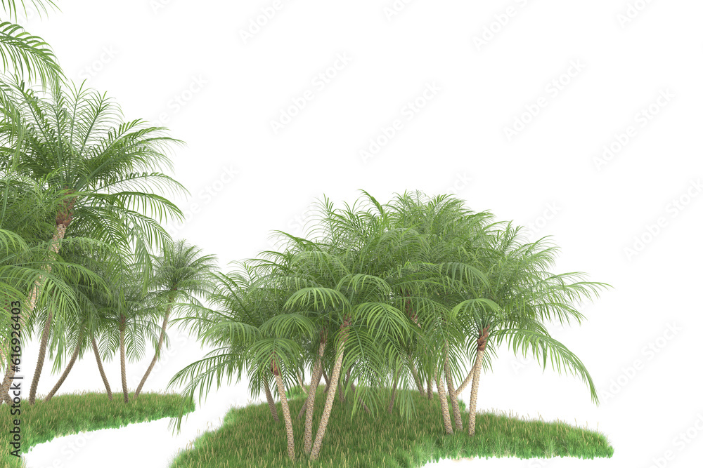 Fototapeta premium Tropical forest isolated on transparent background. 3d rendering - illustration