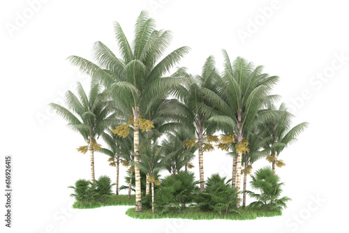 Tropical forest isolated on transparent background. 3d rendering - illustration