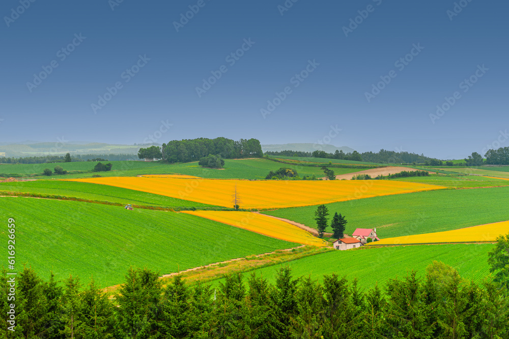 Fototapeta premium 홋카이도, 농촌풍경