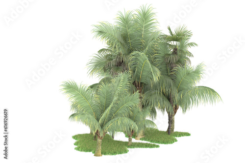 Tropical forest isolated on transparent background. 3d rendering - illustration