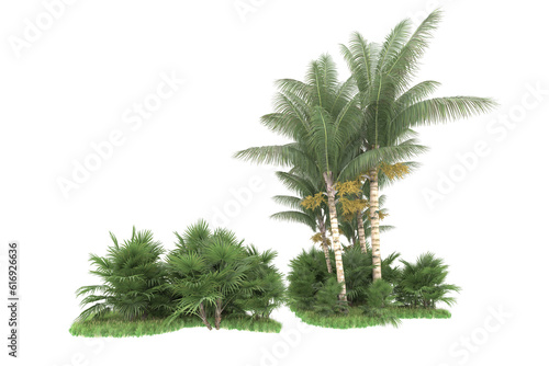 Tropical forest isolated on transparent background. 3d rendering - illustration