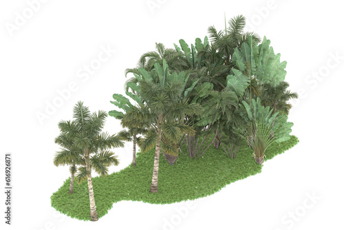 Tropical forest isolated on transparent background. 3d rendering - illustration