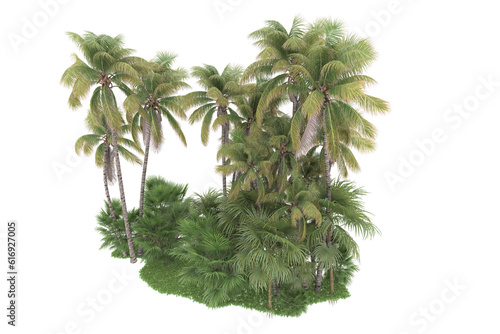 Tropical forest isolated on transparent background. 3d rendering - illustration © Cristian