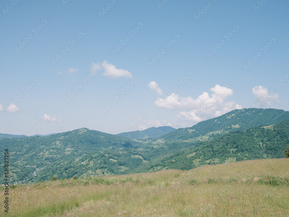 Enchanting Summer Landscape of Carpathian Mountains in Mist