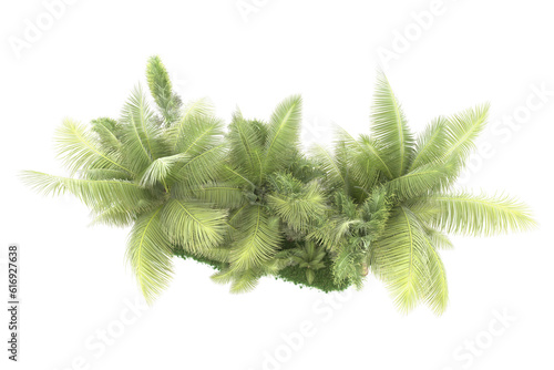 Tropical forest isolated on transparent background. 3d rendering - illustration