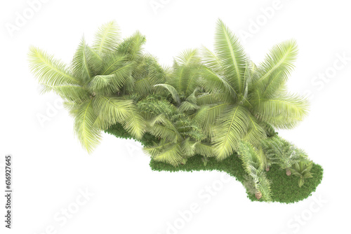 Tropical forest isolated on transparent background. 3d rendering - illustration