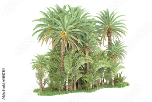 Tropical forest isolated on transparent background. 3d rendering - illustration