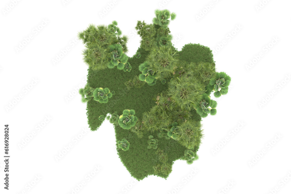 Tropical forest isolated on transparent background. 3d rendering - illustration Tropical forest isolated on transparent background. 3d rendering - illustration