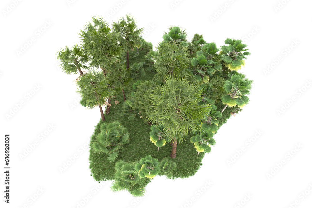 Fototapeta premium Tropical forest isolated on transparent background. 3d rendering - illustration