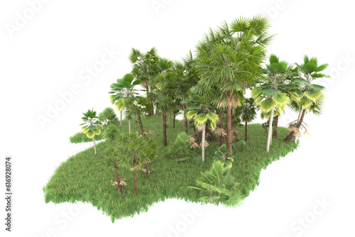 Tropical forest isolated on transparent background. 3d rendering - illustration