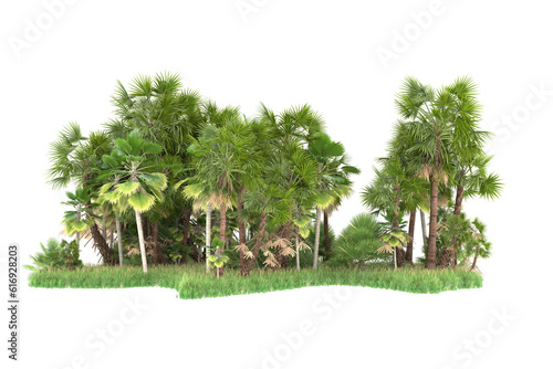 Tropical forest isolated on transparent background. 3d rendering - illustration