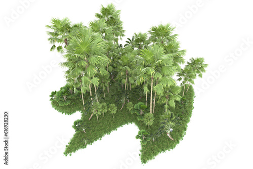 Tropical forest isolated on transparent background. 3d rendering - illustration