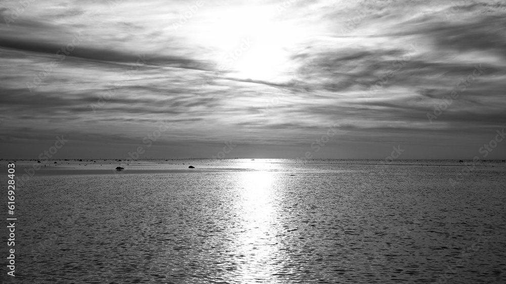Obraz premium Sunset, seagull in the sky. Light waves. Black and white shot. On the Baltic Sea.