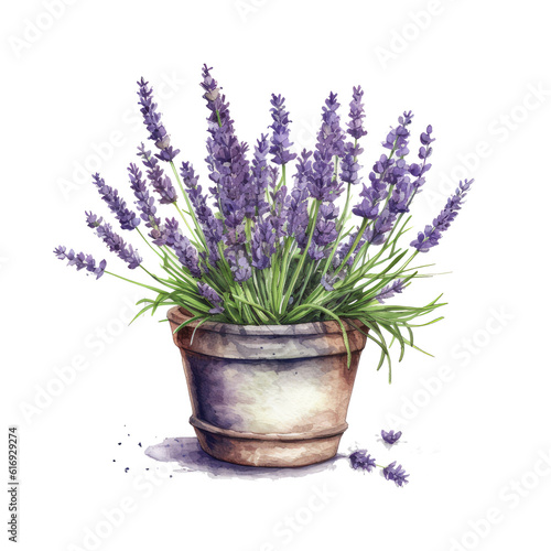 Watercolor illustration of a pot of lavender
