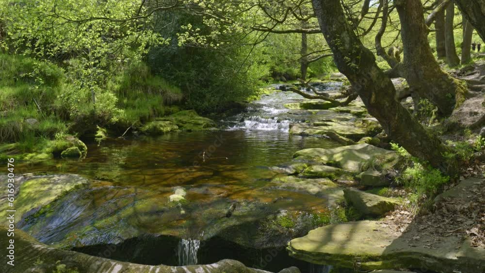 Wonderful Wyming Brook Nature Reserve, near Sheffield Yorkshire, UK Wonderful Wyming Brook Nature Reserve, near Sheffield Yorkshire, UK