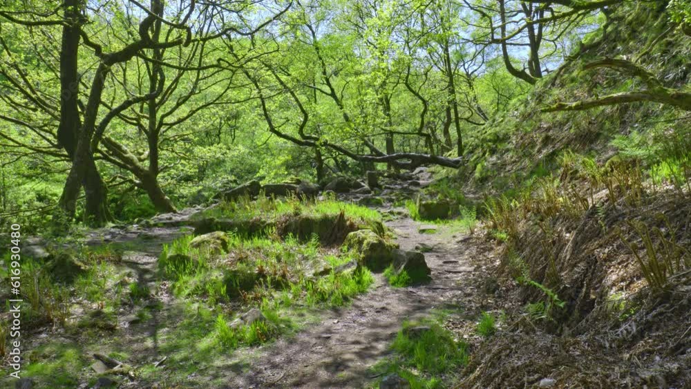 Wonderful Wyming Brook nature reserve - stunning waterfall walk near Sheffield Yorkshire, UK Wonderful Wyming Brook nature reserve - stunning waterfall walk near Sheffield Yorkshire, UK