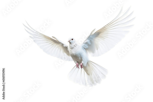 Isolated Flying Dove on transparent Background. AI © Usmanify