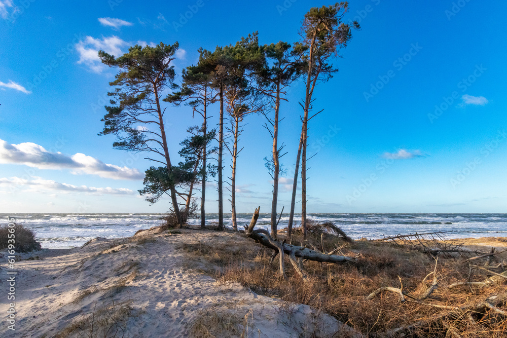 Im Januar am Darsser Weststrand.