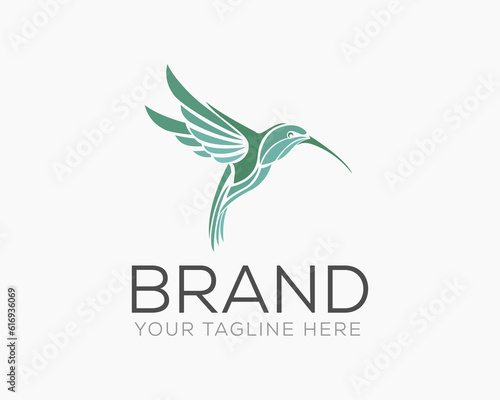 abstract vector flying hummingbird logo icon symbol design template illustration inspiration