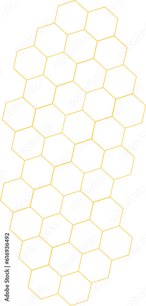 Bee Honeycomb Vector Bee Honeycomb Vector