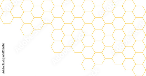 Bee Honeycomb Vector