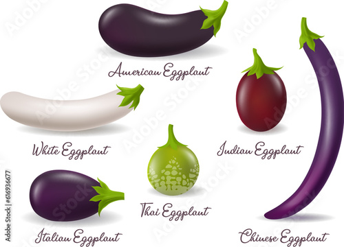 Eggplants varieties photo realistic