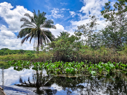 Canoe tour on the Pantanal Marimbus in Andarai  Bahia  Brazil  Chapada Diamantina