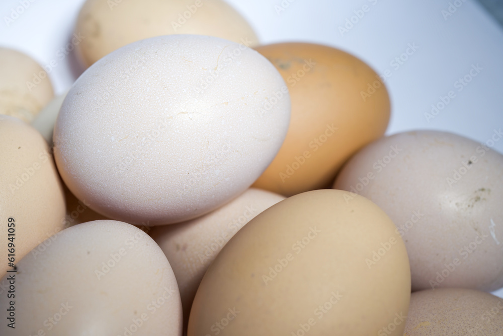 Dirty eggs. eggs in the mud are not washed. Yellow domestic eggs. Dirty eggs. eggs in the mud are not washed. Yellow domestic eggs.