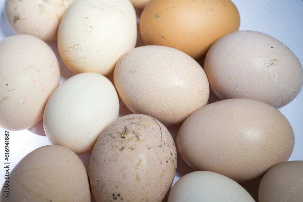 Dirty eggs. eggs in the mud are not washed. Yellow domestic eggs. Dirty eggs. eggs in the mud are not washed. Yellow domestic eggs.